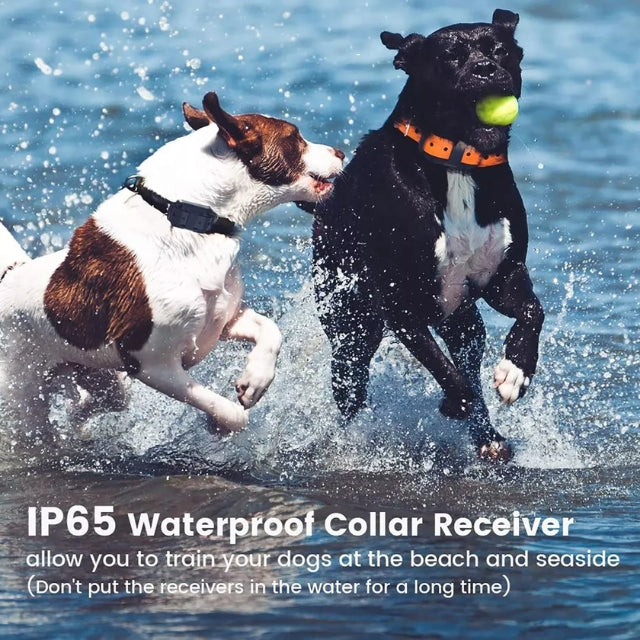Electric Dog Training E-Collar with Remote Control – Safe and Effective