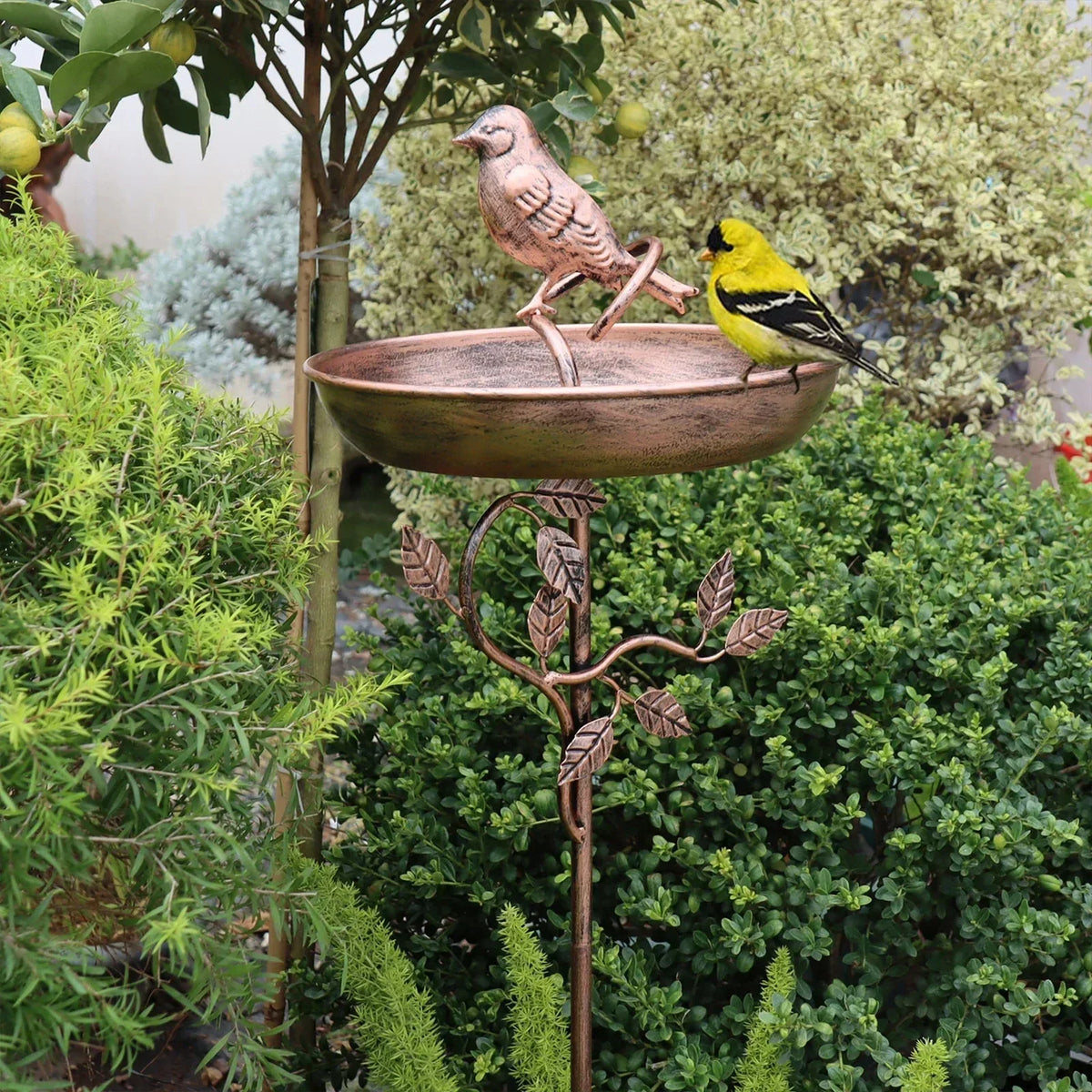 Garden Bird Bath with Decorative Bowl and Sturdy Ground Stake