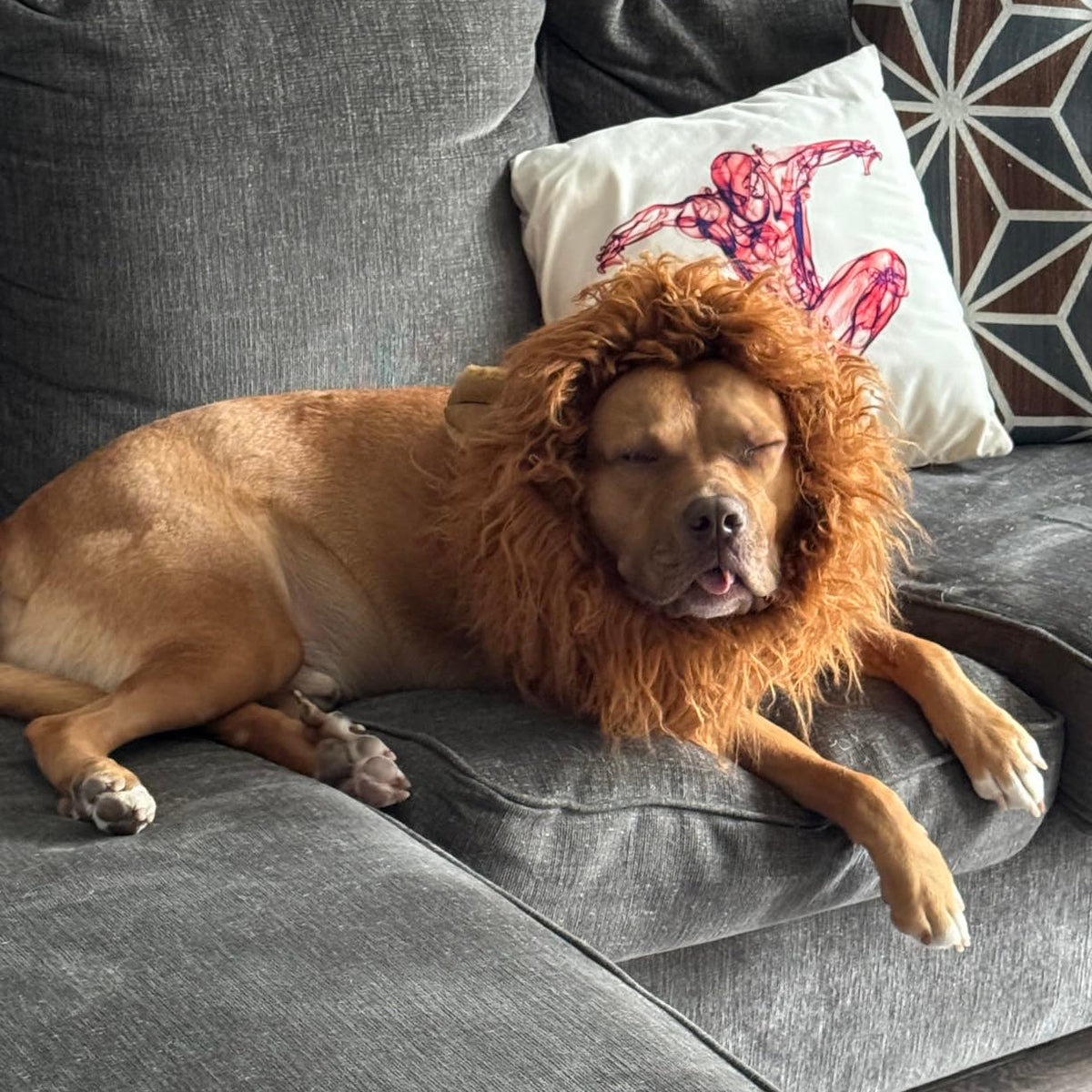 Halloween Lion Mane Wig Dog Costume