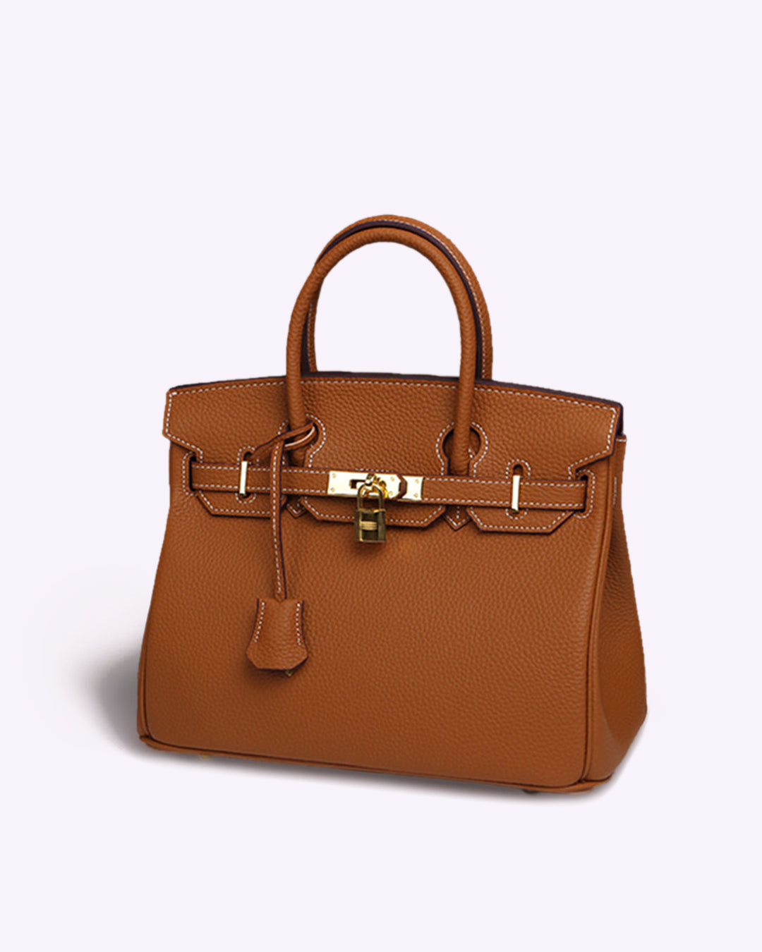 Handbag with Gold Lock Hardware