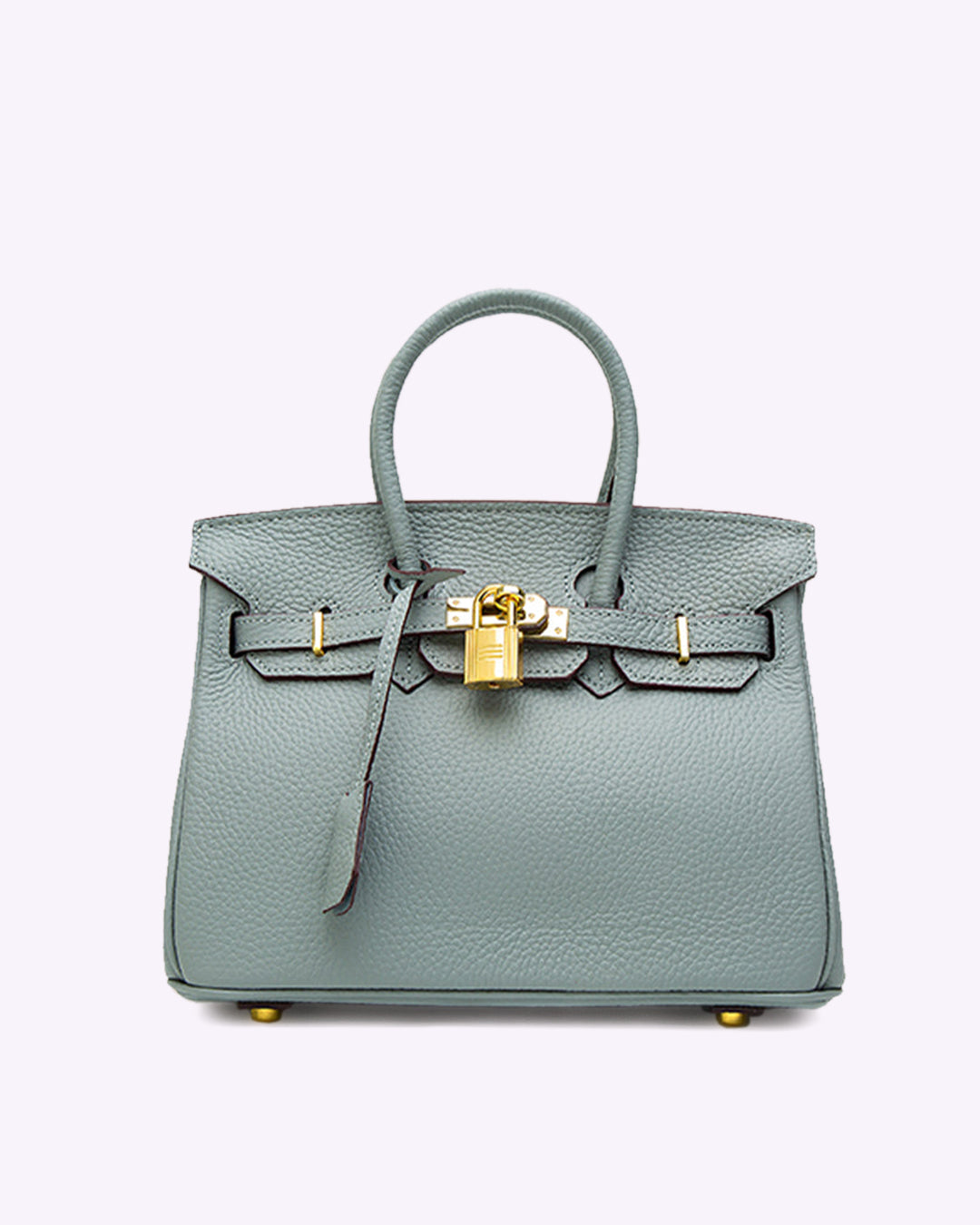Handbag with Gold Lock Hardware