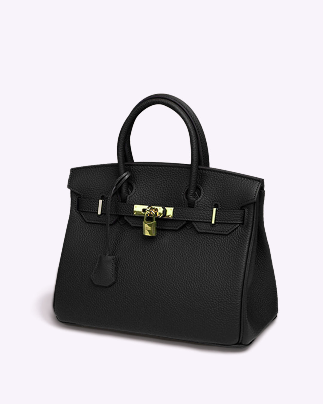 Handbag with Gold Lock Hardware