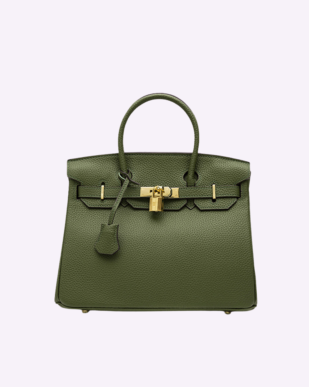 Handbag with Gold Lock Hardware
