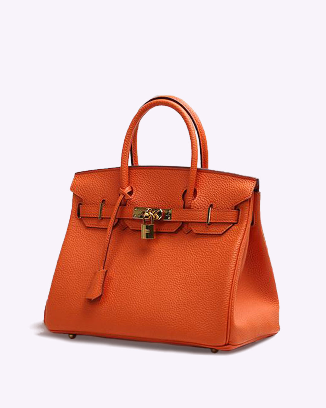 Handbag with Gold Lock Hardware