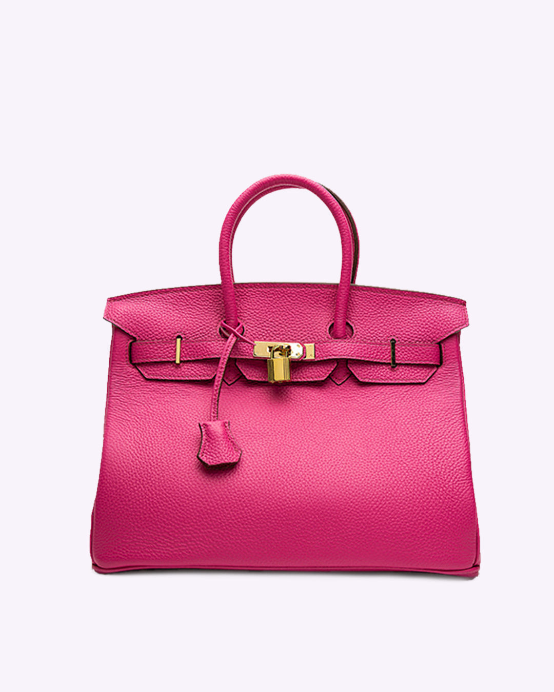 Handbag with Gold Lock Hardware