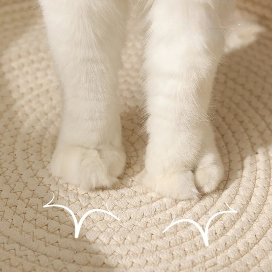 Handwoven Cotton Rope Cat Bed