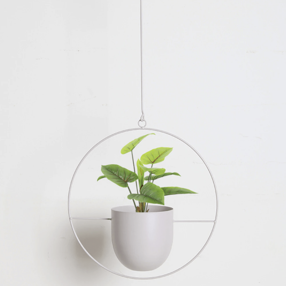 Hanging Wall Plant Holder with Adjustable Chain and Minimalist Design