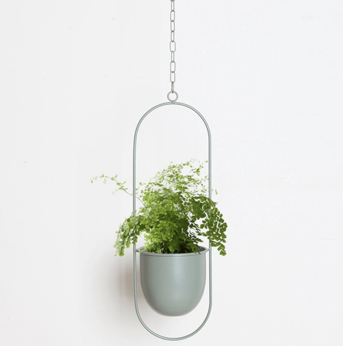 Hanging Wall Plant Holder with Adjustable Chain and Minimalist Design
