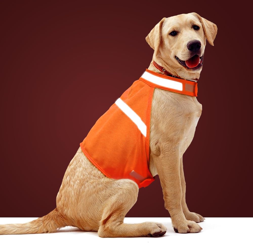 High-Visibility Reflective Dog Safety Vest