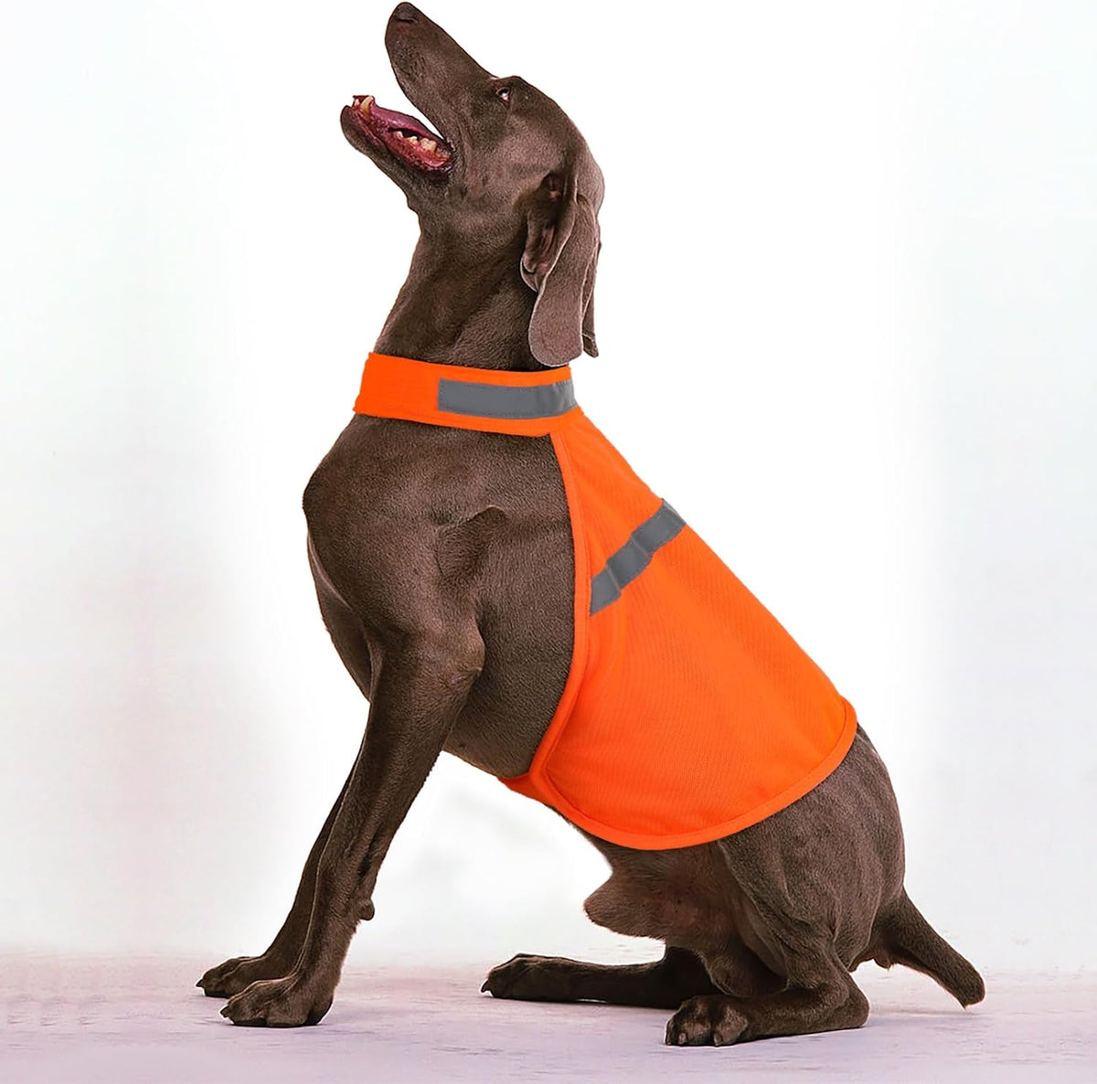 High-Visibility Reflective Dog Safety Vest