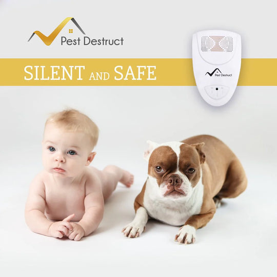 Home Ultrasonic Mouse Repeller for Indoor Pest Control