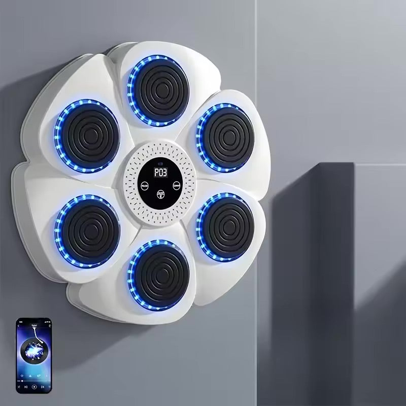 Home Wall-Mounted Boxing Trainer with Bluetooth Music
