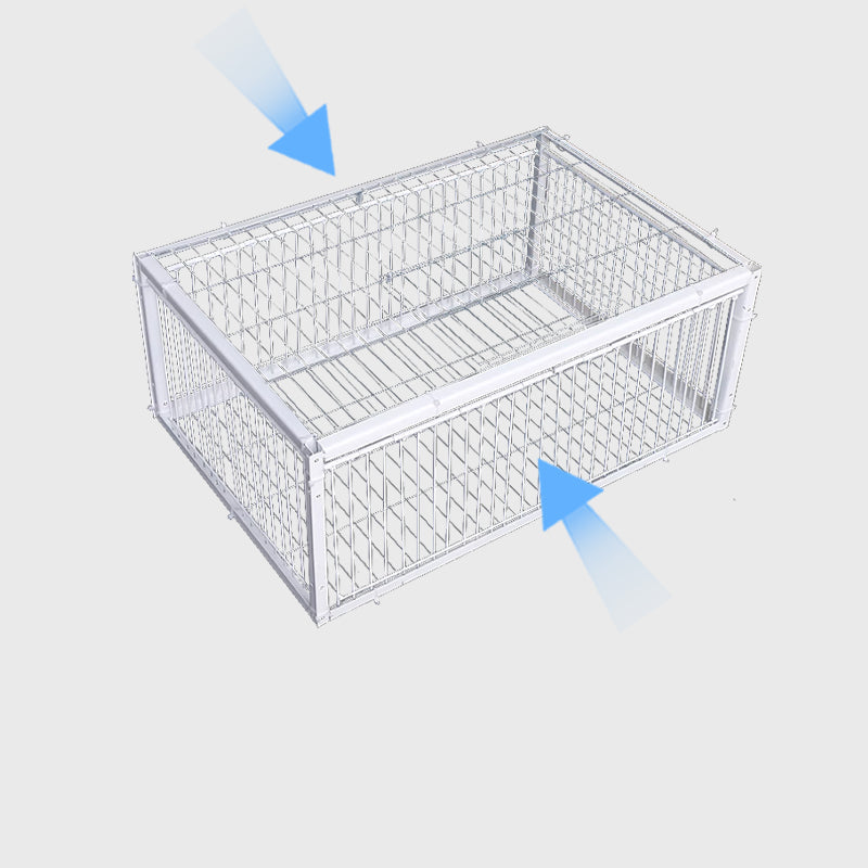Humane Bird Trap with 2 or 4 Entrances for Safe and Effective Control