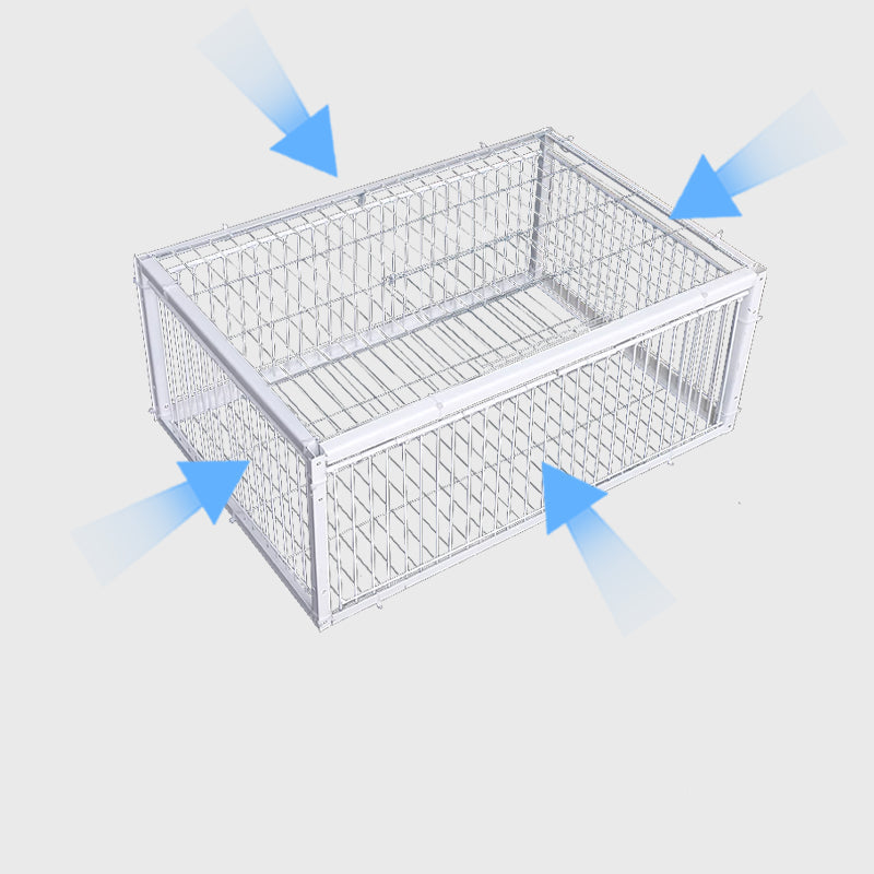 Humane Bird Trap with 2 or 4 Entrances for Safe and Effective Control