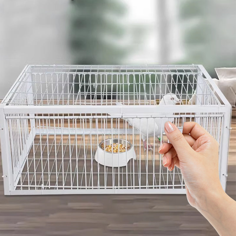 Humane Bird Trap with 2 or 4 Entrances for Safe and Effective Control
