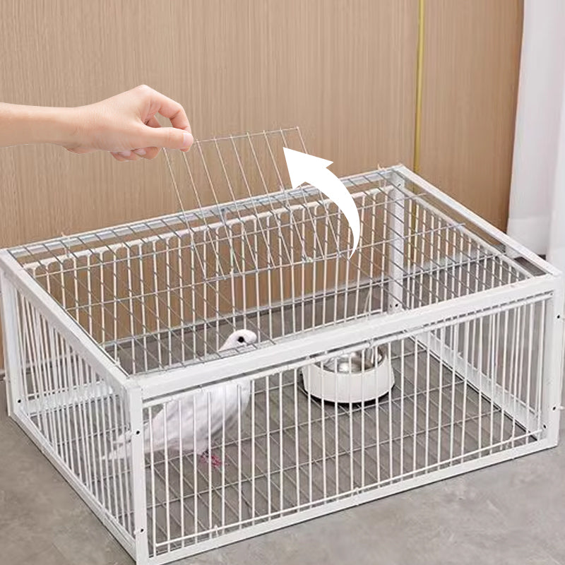 Humane Bird Trap with 2 or 4 Entrances for Safe and Effective Control