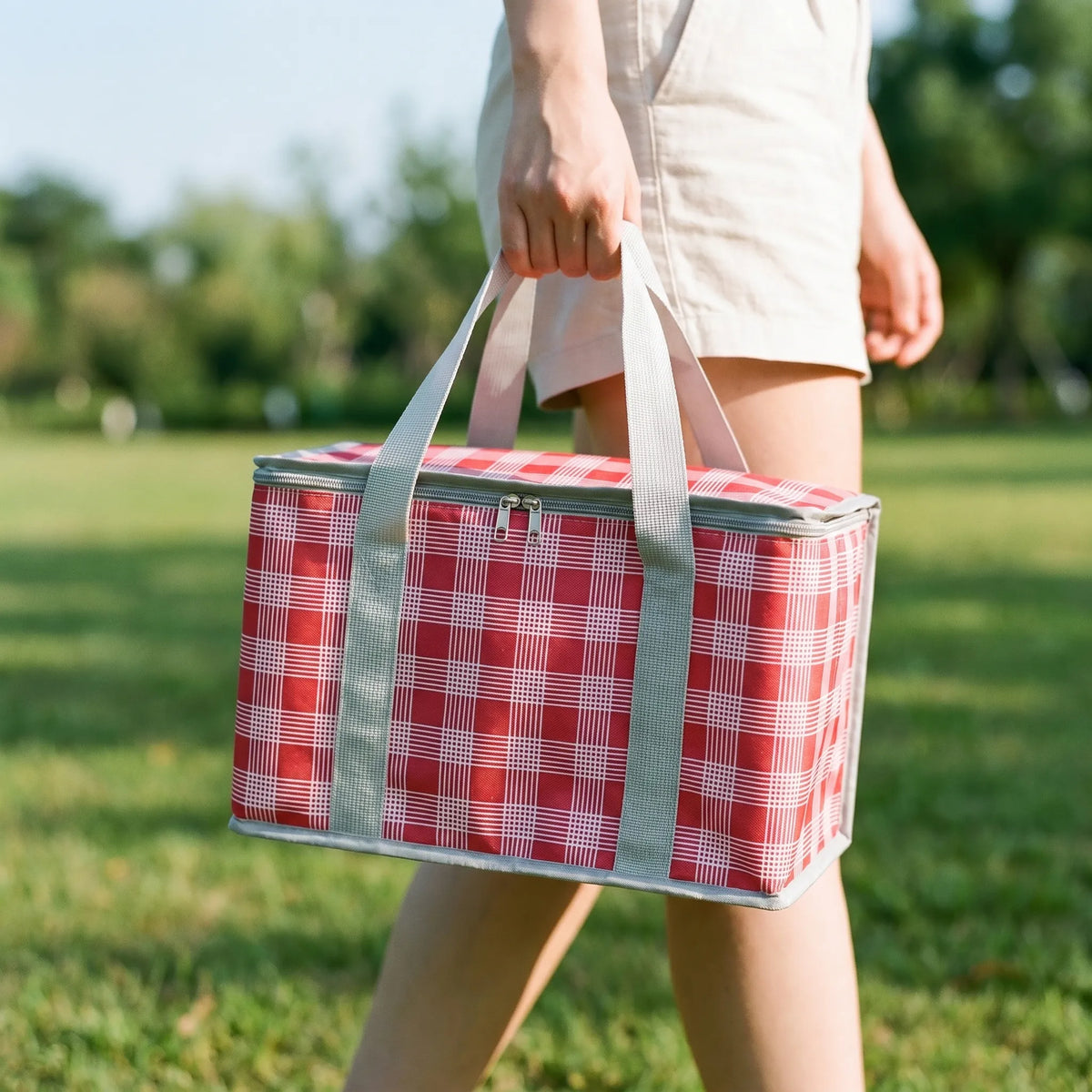 Insulated Picnic Bag