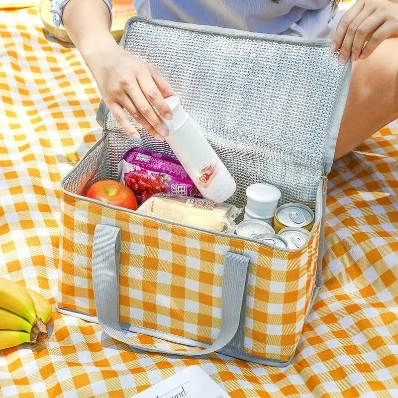 Insulated Picnic Bag