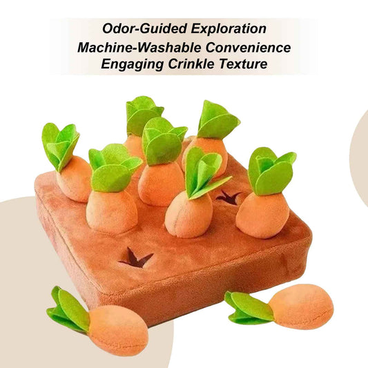 Interactive Carrot Puzzle Snuffle Board