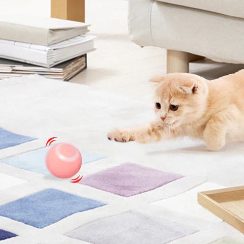 Interactive Smart Rolling Pet Ball