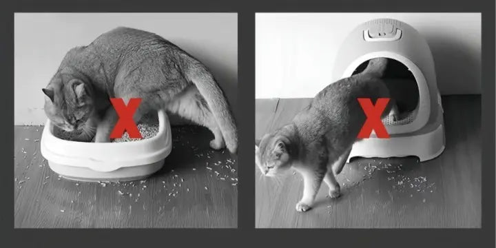 Large Non-Slip Cat Litter Mat