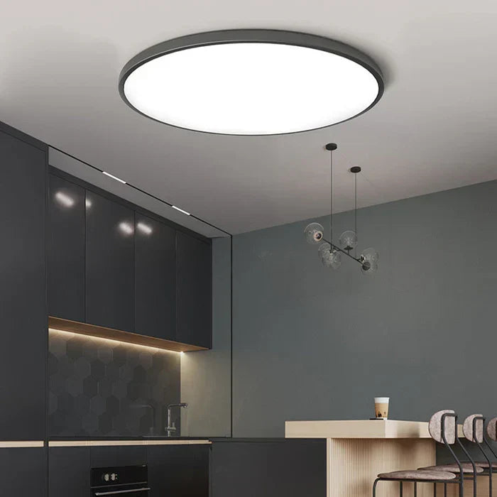 LED Ceiling Light