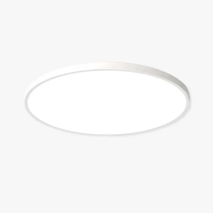 LED Ceiling Light