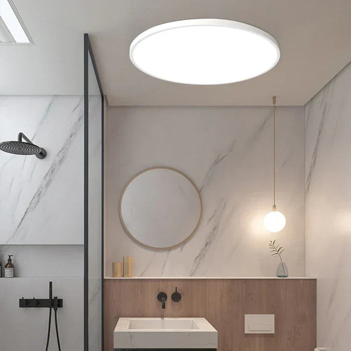 LED Ceiling Light