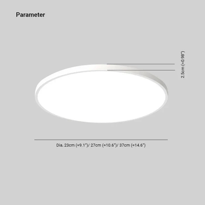 LED Ceiling Light