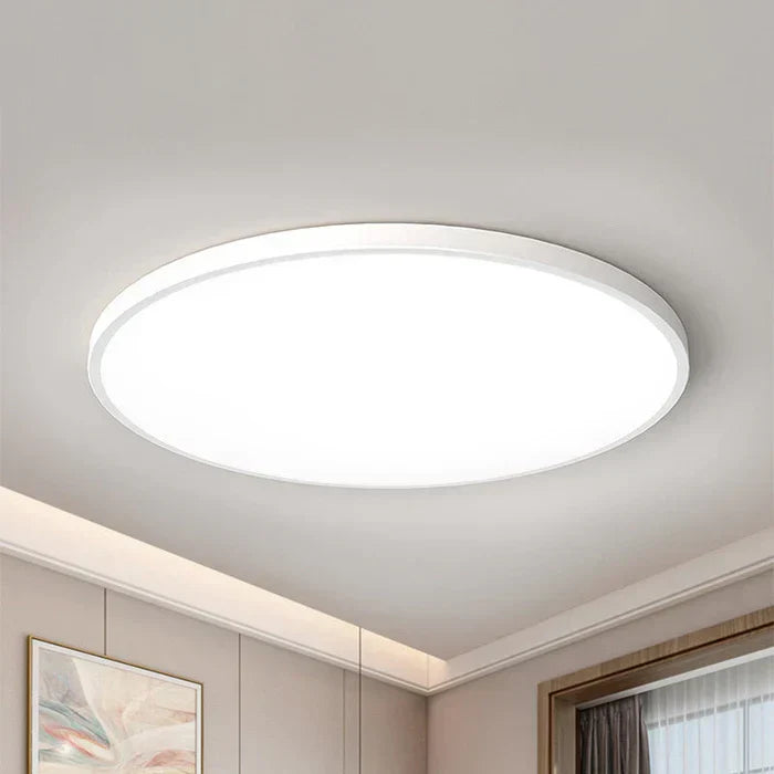 LED Ceiling Light
