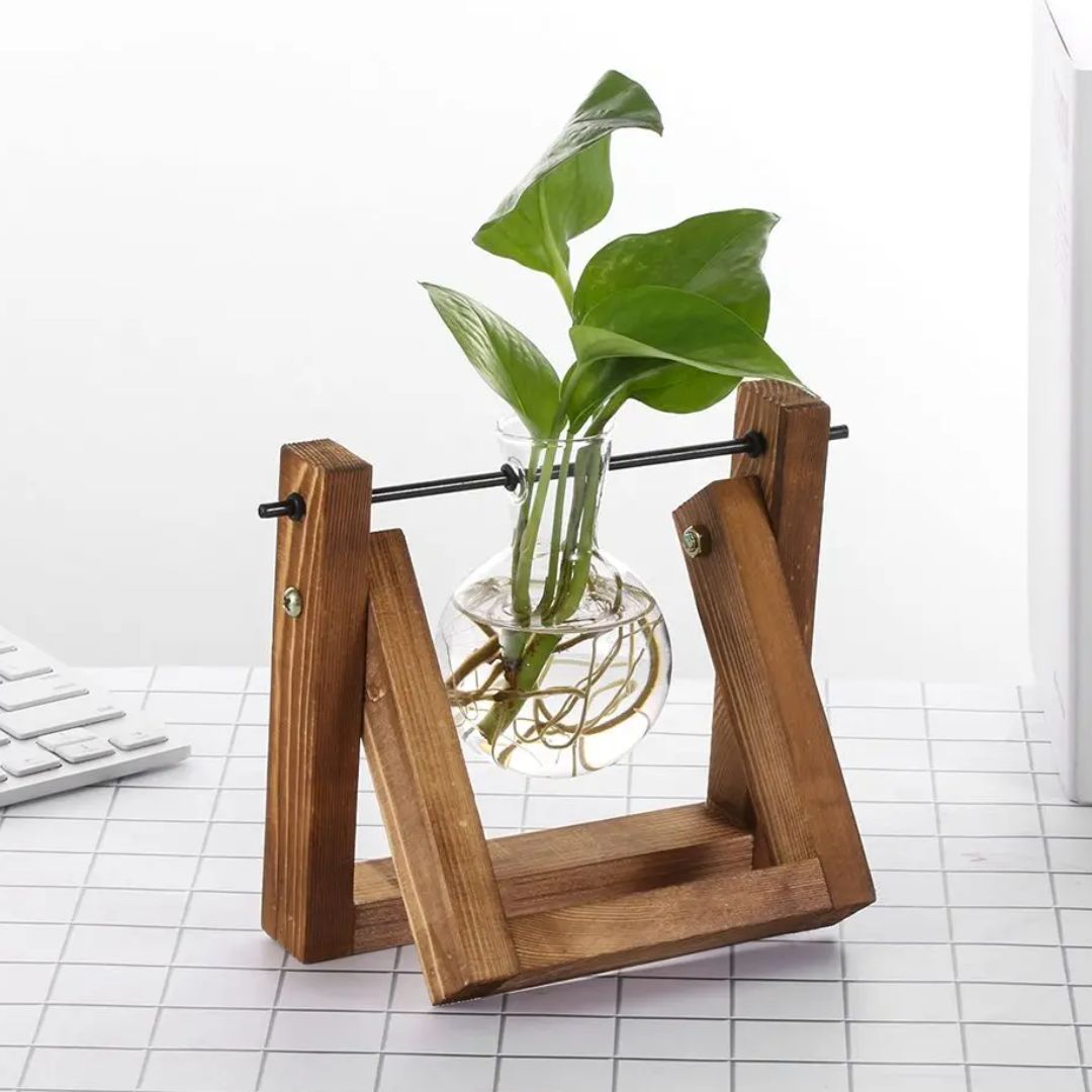 Modern Hydroponic Planter with Wooden Tray