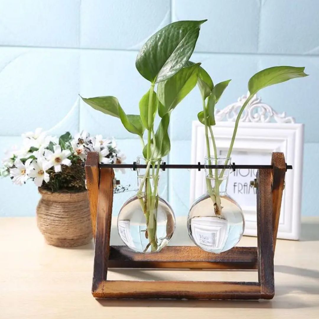 Modern Hydroponic Planter with Wooden Tray