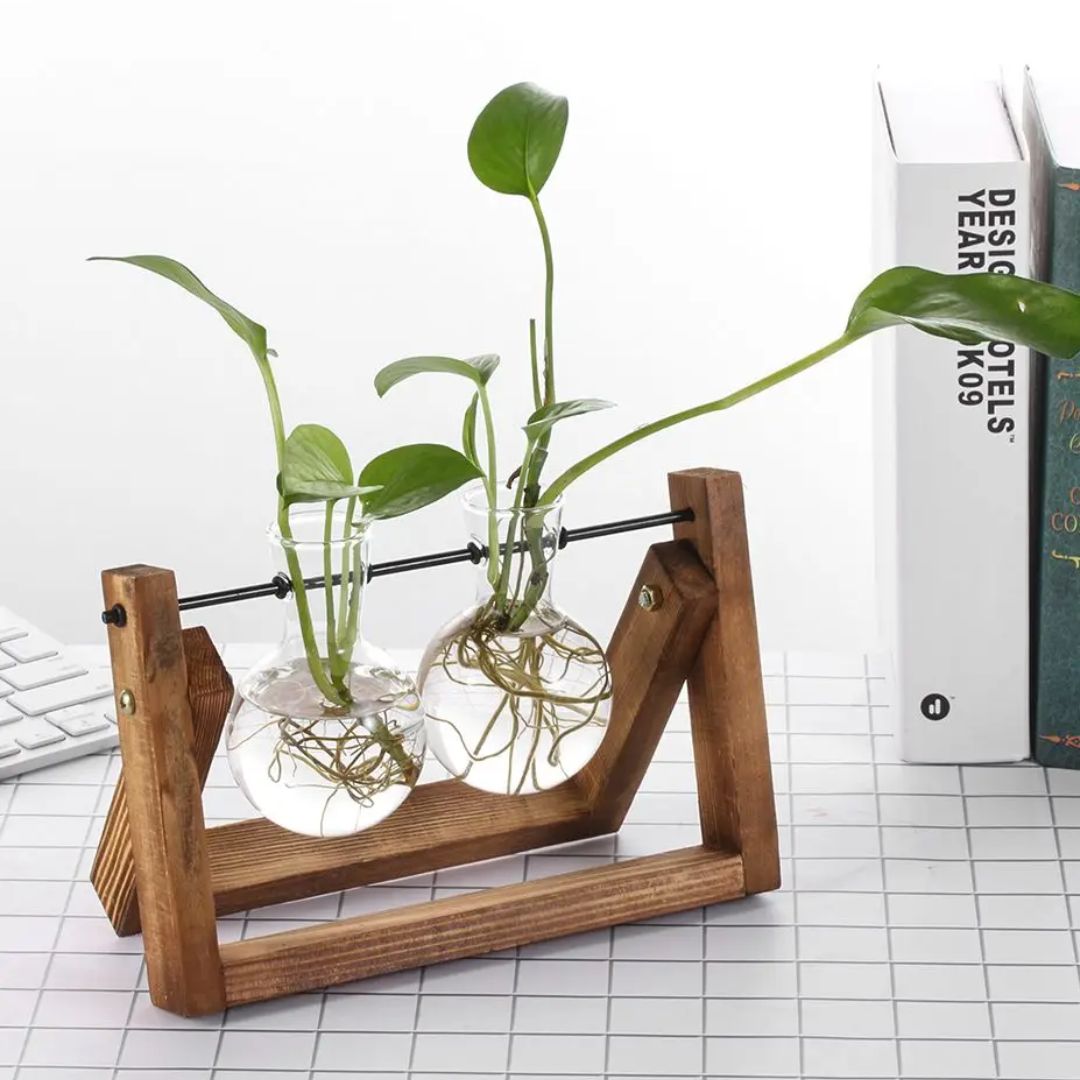 Modern Hydroponic Planter with Wooden Tray
