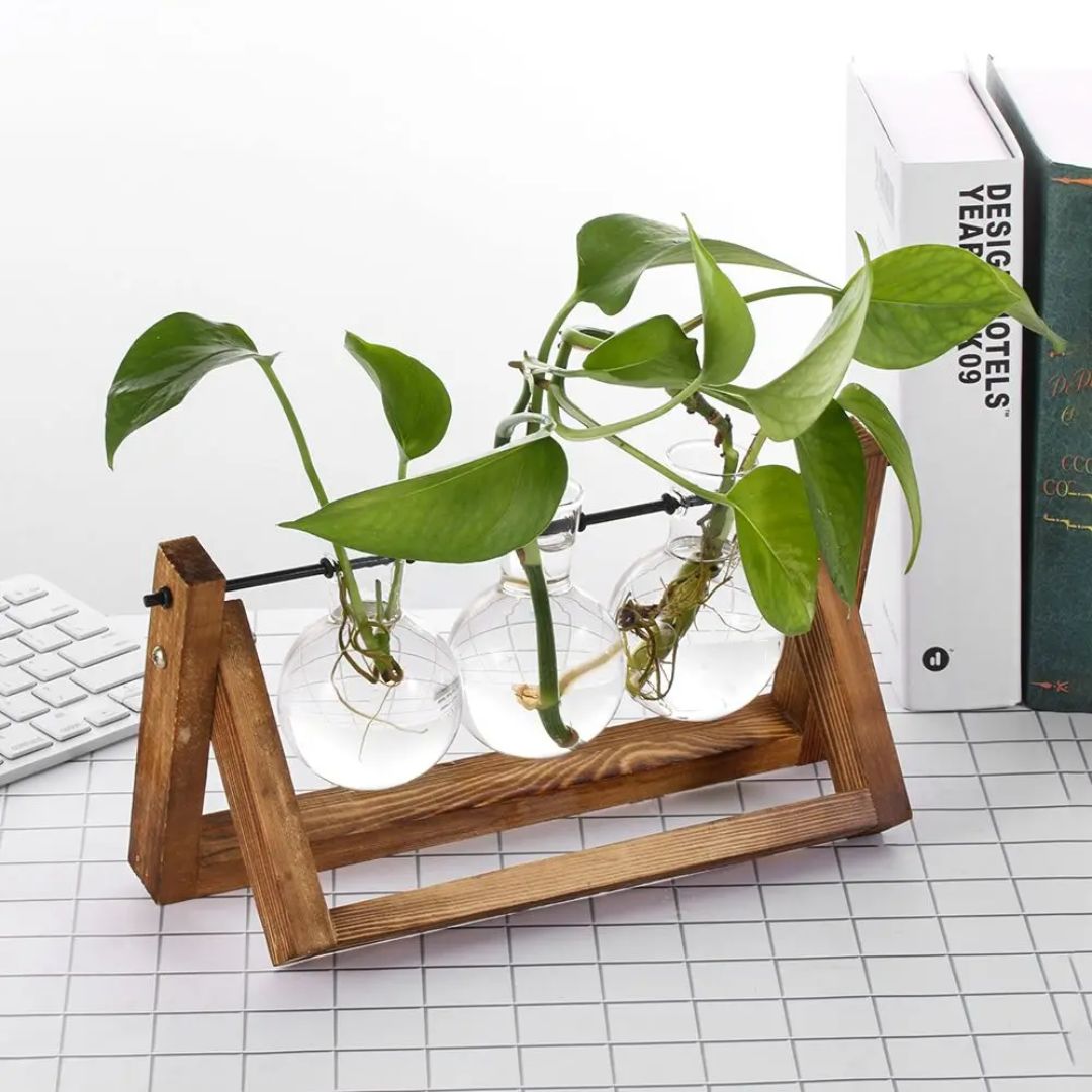 Modern Hydroponic Planter with Wooden Tray
