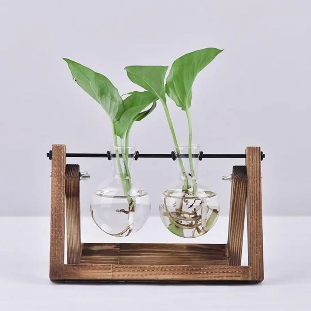 Modern Hydroponic Planter with Wooden Tray