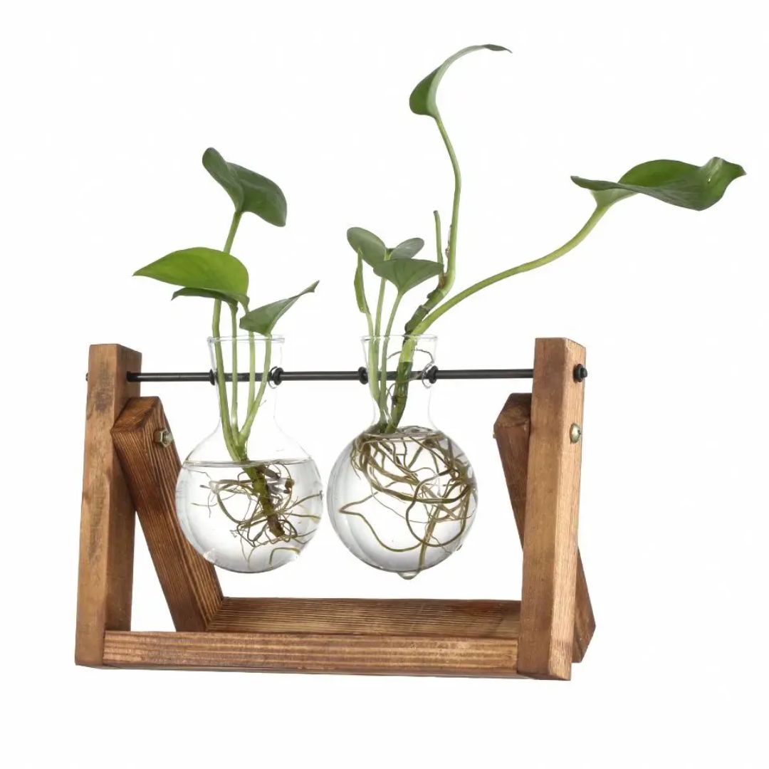 Modern Hydroponic Planter with Wooden Tray