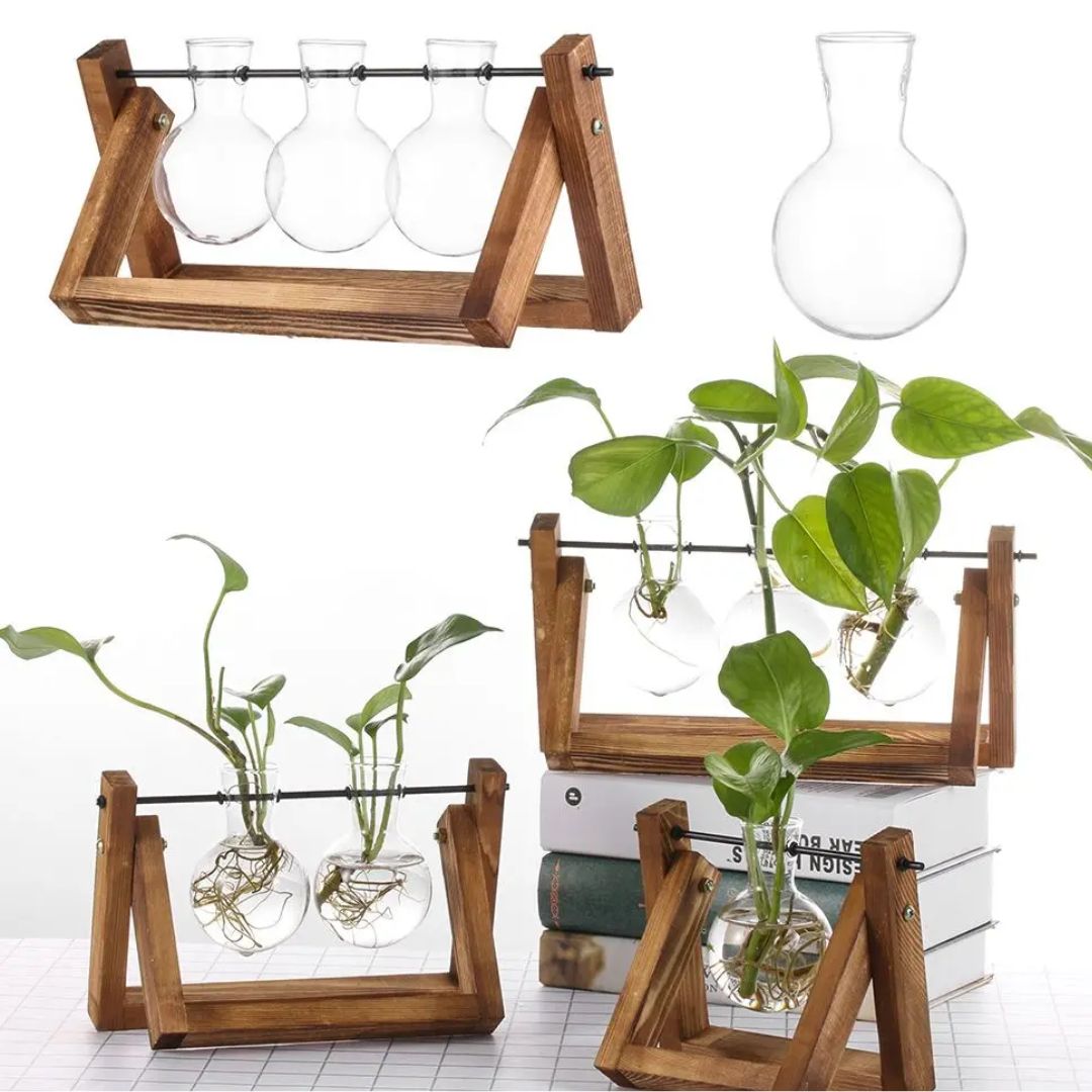 Modern Hydroponic Planter with Wooden Tray