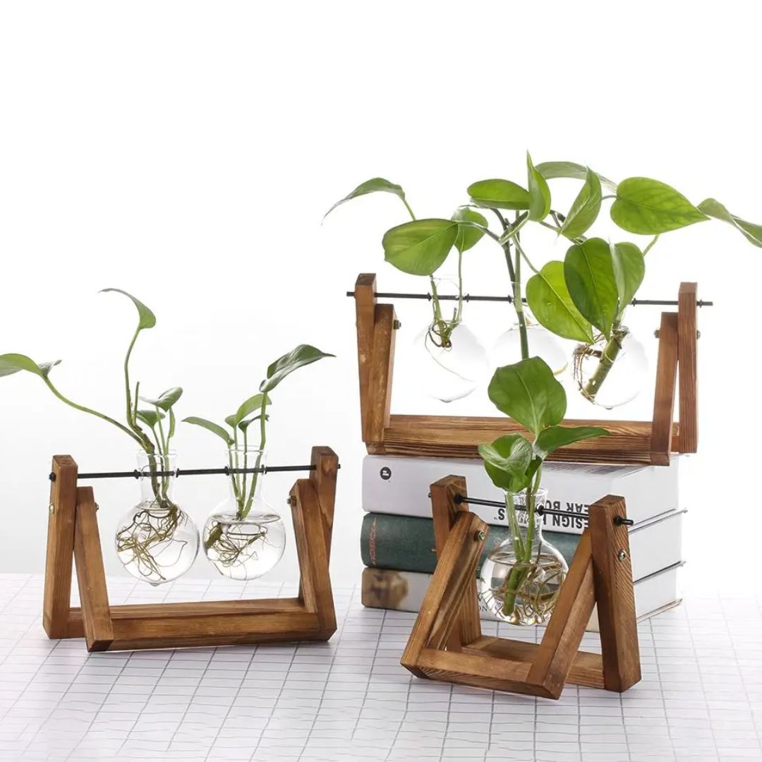 Modern Hydroponic Planter with Wooden Tray