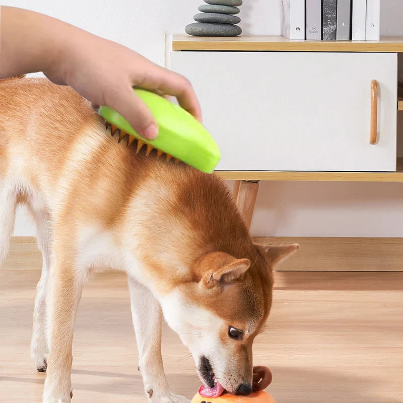 Nano Mist Pet Brush for Hair Removal and Massage