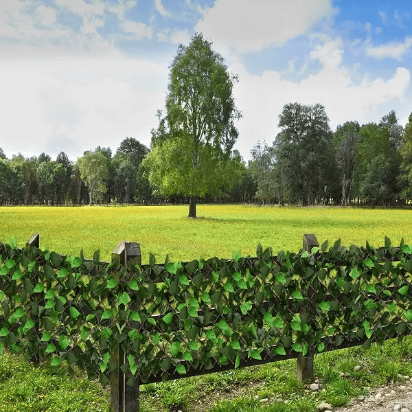 Natural-Looking Garden Privacy Screen