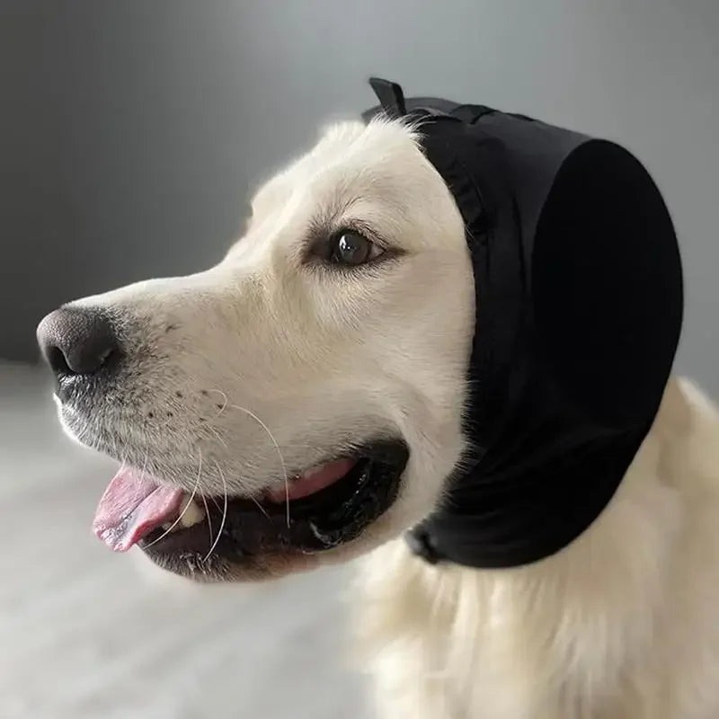 Noise-Reducing Ear Protectors for Dogs – Comfortable Hearing Protection