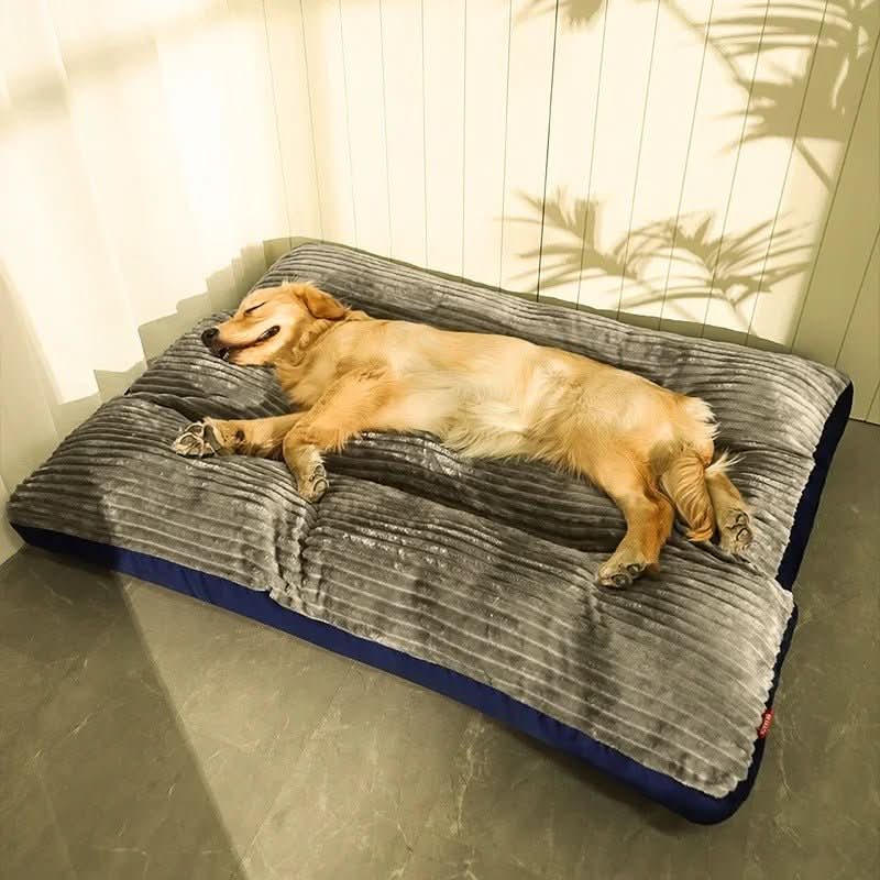 Orthopedic Dog Bed Designed for Comfort