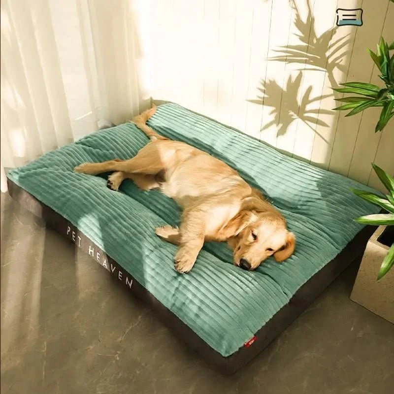 Orthopedic Dog Bed Designed for Comfort