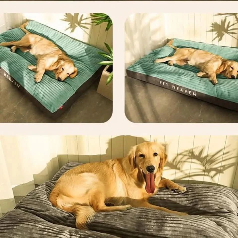 Orthopedic Dog Bed Designed for Comfort