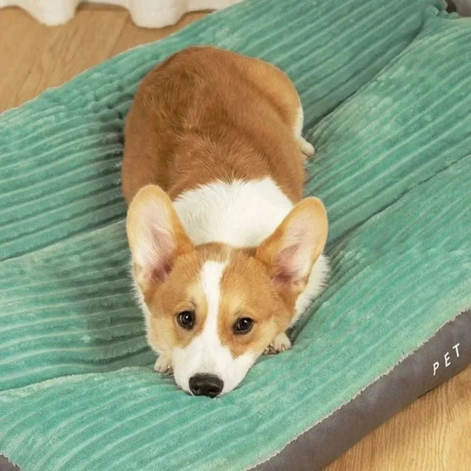 Orthopedic Dog Bed Designed for Comfort