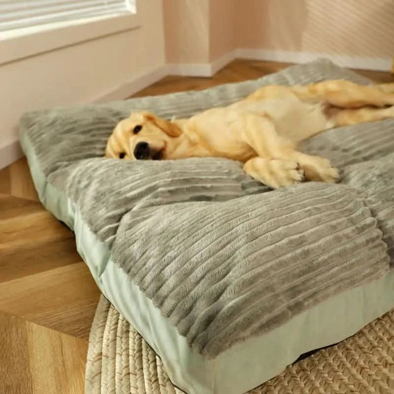 Orthopedic Dog Bed Designed for Comfort