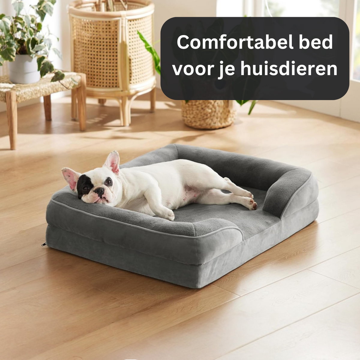 Orthopedic Dog Bed with Memory Foam and Plush Cover