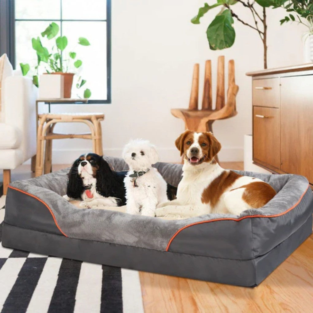 Orthopedic Memory Foam Dog Bed