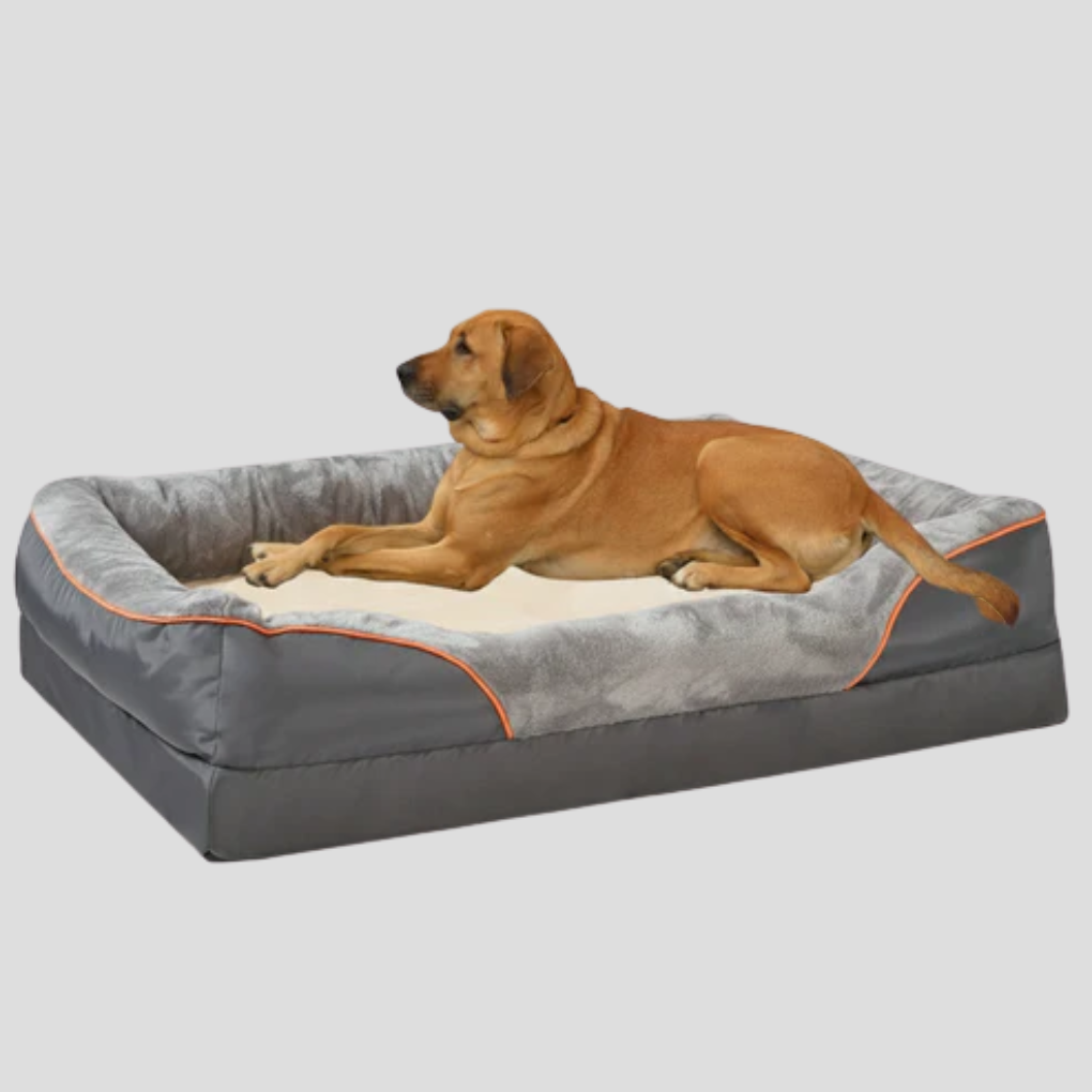 Orthopedic Memory Foam Dog Bed