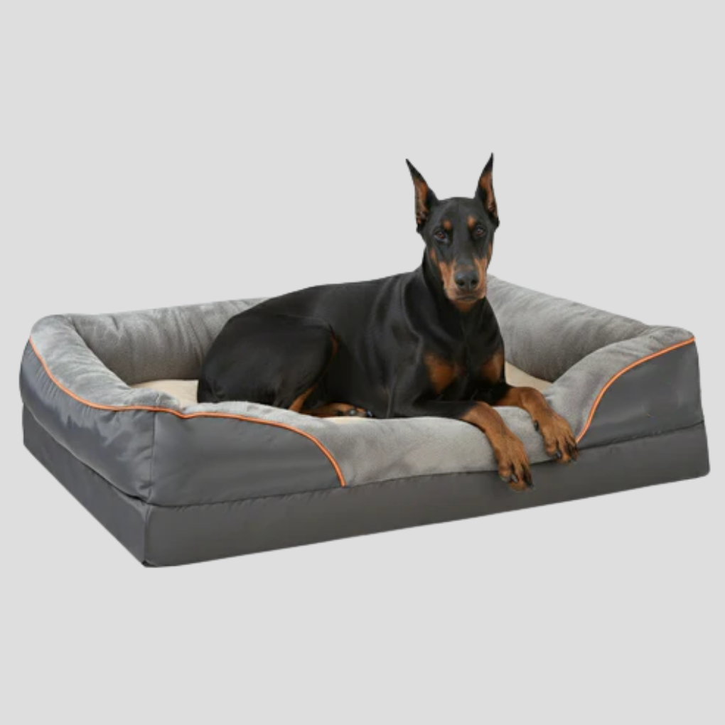 Orthopedic Memory Foam Dog Bed